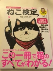 ねこ検定受けました　muruchura　銀座 美容室　　　