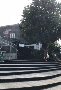 秋ですねっ☆　銀座美容室muruchura(ムルチュラ)