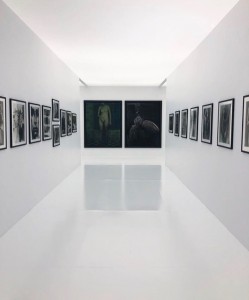 サラムーン写真展 銀座美容室ムルチュラ(muruchura)